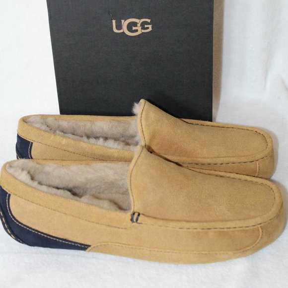NEW UGG ASCOT‎ Suede Shearling Slippers - Picture 1 of 11